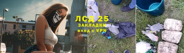 крисы Надым
