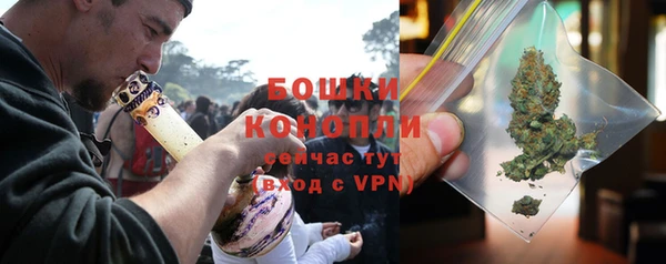крисы Надым