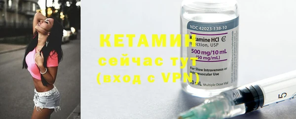 крисы Надым