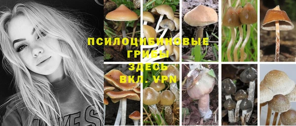 гидропоника Михайлов
