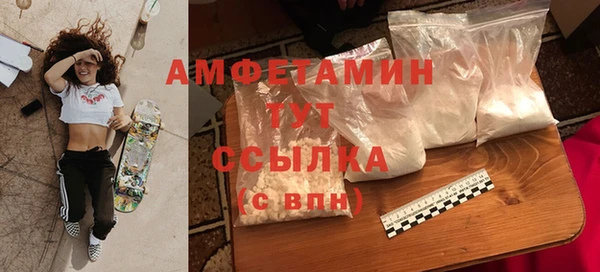 крисы Надым