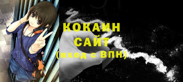 крисы Надым