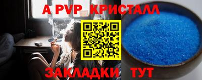 спиды Гусев