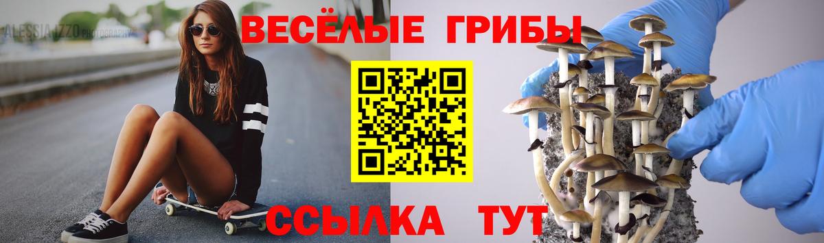 Галлюциногенные грибы GOLDEN TEACHER  Галлюциногенные грибы Psilocybe  закладки  Вход с VPN  Кимры 