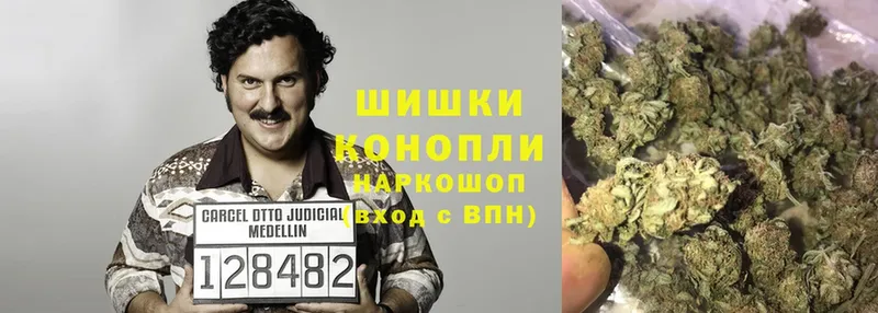 Канабис OG Kush  Кимры 